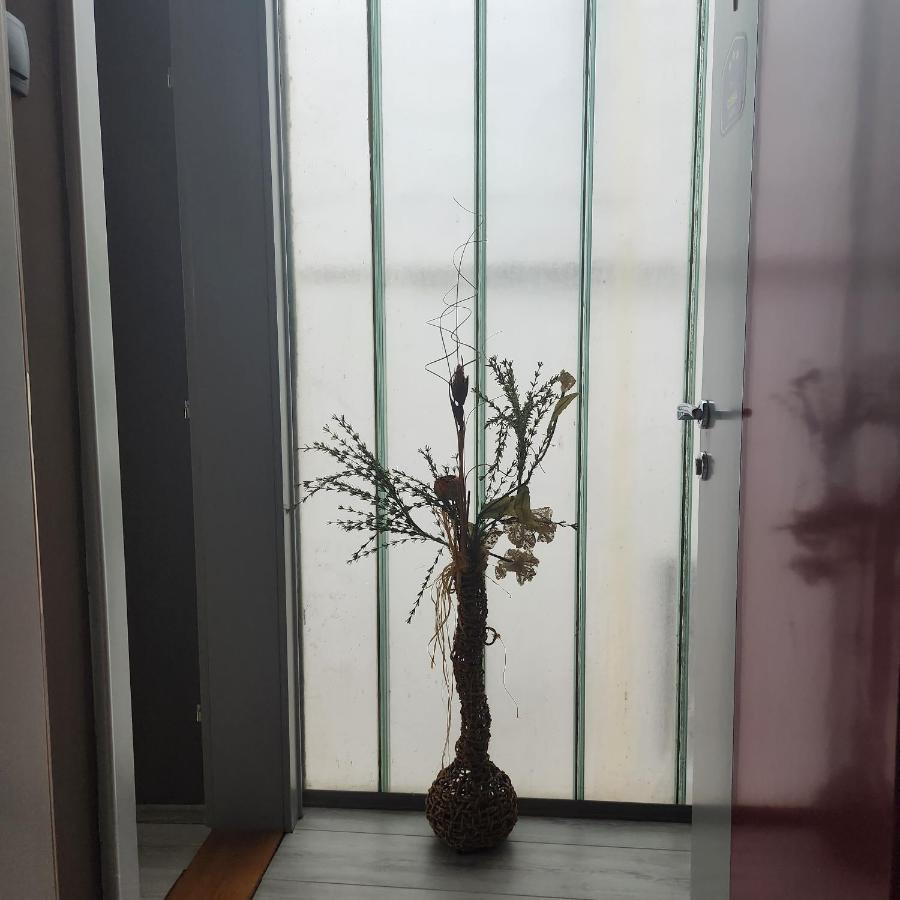 In Club Aparthotel Vrnjacka Banja Ngoại thất bức ảnh